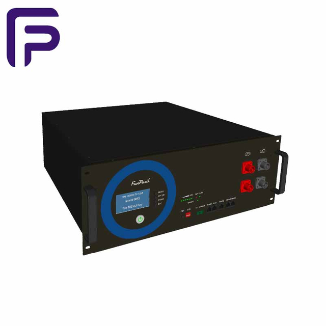 51.2V LiFePO4 Battery Pack 6000 Cycles Rack Lifepo4 Battery Module