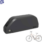 Li Ion 48V 21ah E Bike Battery, Electric Bicycle Battery Pack ODM
