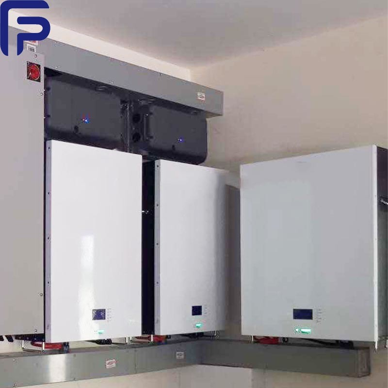 4000 Times 48V100ah LiFePO4 Battery Powerwall for Energy Storage ODM